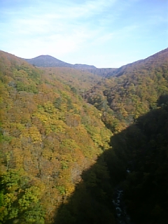 20061014_236051.jpg